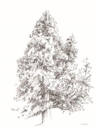Framed Whispering Pines 1 Print