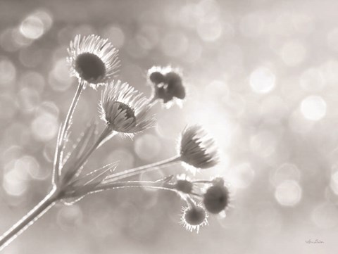 Framed Wild Flowers I Print