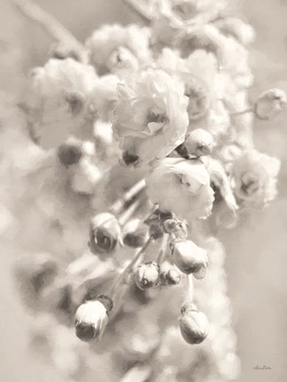 Framed Painted Blossoms II Print