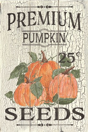 Framed Pumpkin Seeds Print