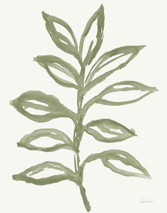 Framed Nature in Sage II Print