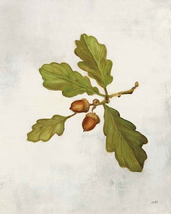 Framed Oak Branch Print