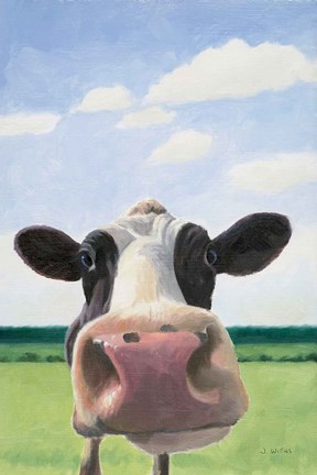 Framed Funny Cow Print