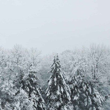 Framed Snowshoe Hill Deep Crop Print