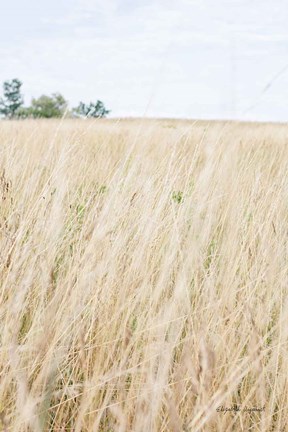 Framed On the Edge III Print