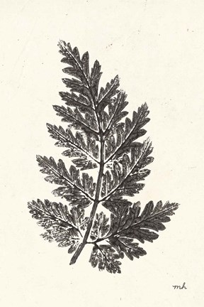 Framed Walk in the Woods I Print