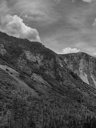 Framed Scenic Landscape III BW Crop I Print