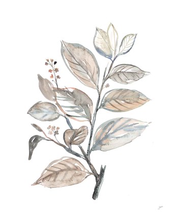 Framed Cottage Leaves I Print