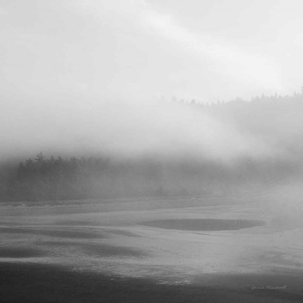 Framed Salt Creek I Print