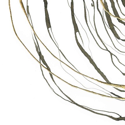 Framed Not Quite Concentric III Print