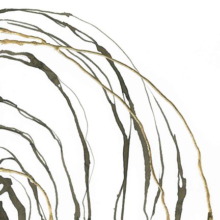 Framed Not Quite Concentric II Print