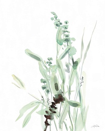 Framed Grasses III Print