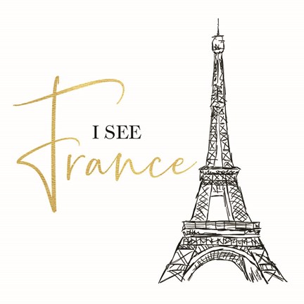 Framed Bath Art VI-I See France Print