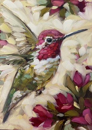 Framed Anna's Hummingbird Print