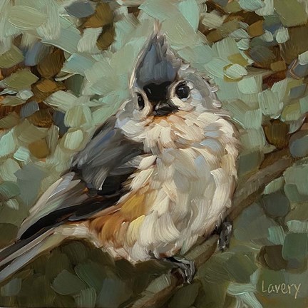 Framed Wondering Eyes Print