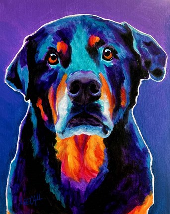 Framed Rottweiler - Nitro Print