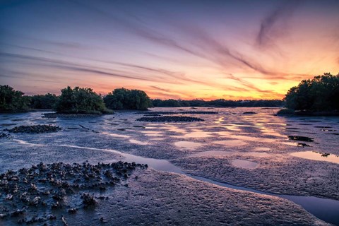 Framed Low Tide At Cedar Key Print