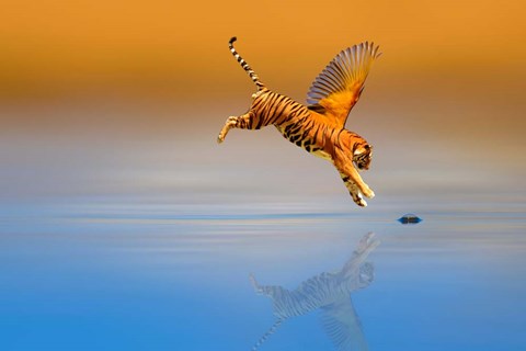 Framed Tigerbird Print