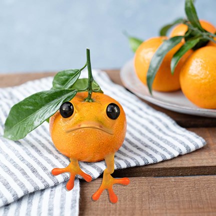 Framed Frogorange Print