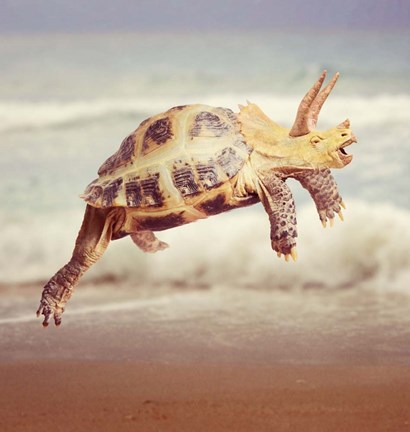 Framed Triceraturtle Print