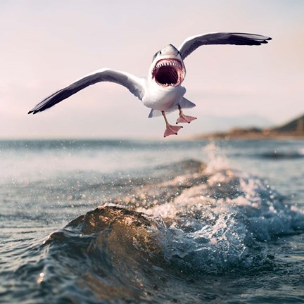 Framed Gullshark Print