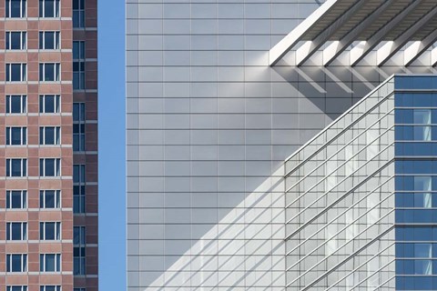 Framed Facades Print