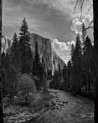 Framed Yosemite II Print