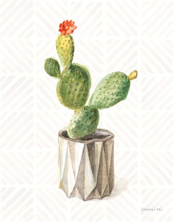 Framed Desert Greenhouse XII Print