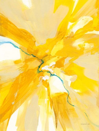 Framed Sunburst Print