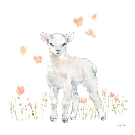 Framed Spring Lambs II Print