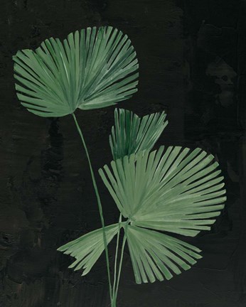 Framed Palm Botanical III Black Print