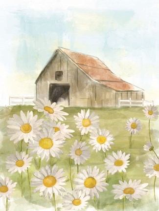 Framed Field of Daisies Print
