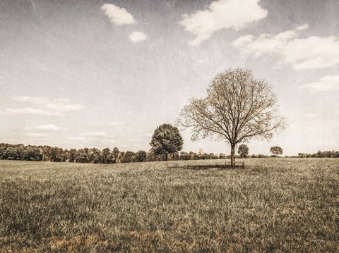 Framed Together in the Fields I Print