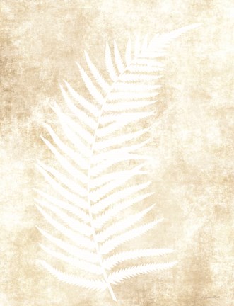 Framed Fern Frond 2 Print