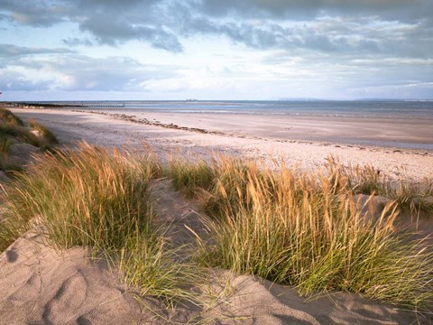 Framed West Wittering Beach Print