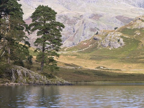 Framed Lake District 3 Print