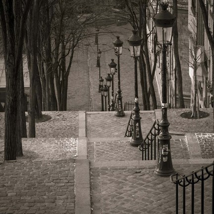 Framed Paris 1 Print