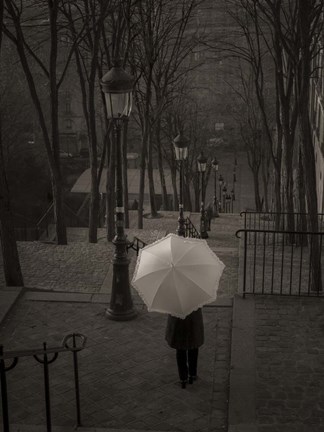 Framed Paris 2 Print