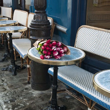 Framed Paris 3 Print