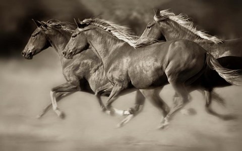 Framed Wind Runners Print