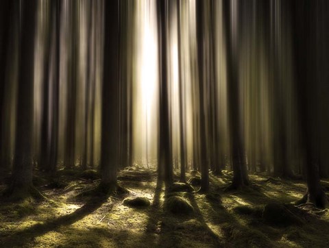 Framed Breath of Life Print