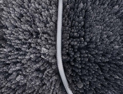 Framed Divided Print