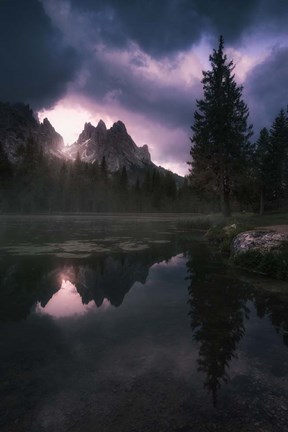 Framed Reflections Print