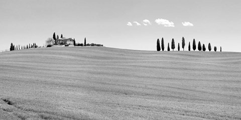 Framed Strada del Brunello, Tuscany (BW) Print