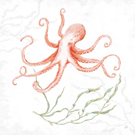 Framed Delicate Sea V Red Print