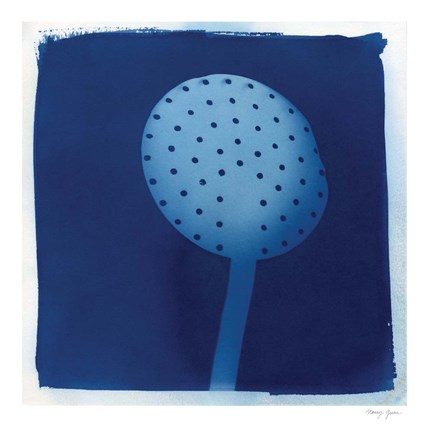 Framed Cyanotype Kitchen XIV Print