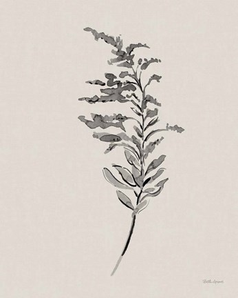 Framed Harvest Classics V on Cream Print