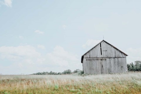 Framed Hideout Print