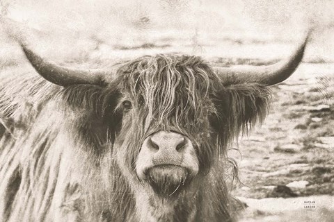 Framed You Have My Attention Print