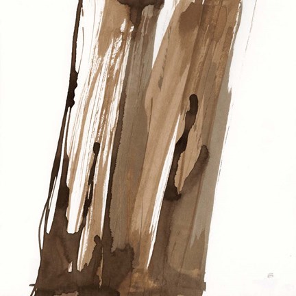 Framed Walnut Falls II Print